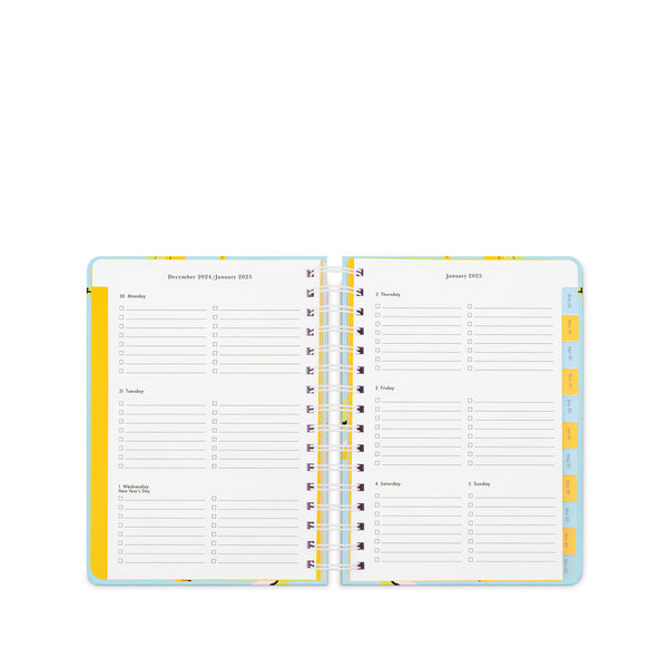 Banana Toss 17 Month Large Planner