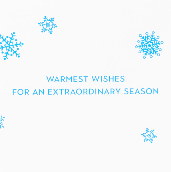 Sequin Snowflake Strands Holiday Card