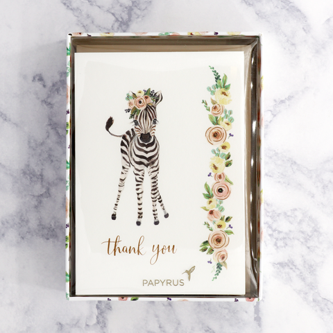 Baby Zebra Thank You Boxed Notes (Set of 12)