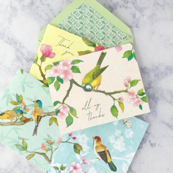 Blossom Branch Thank You Boxed Notes  (Set of 20)