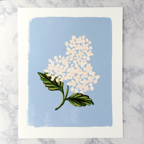 Blue Hydrangea Bloom Art Print