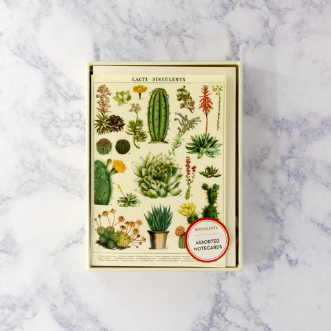 Cacti Succulents Boxed Notes (Set of 8)