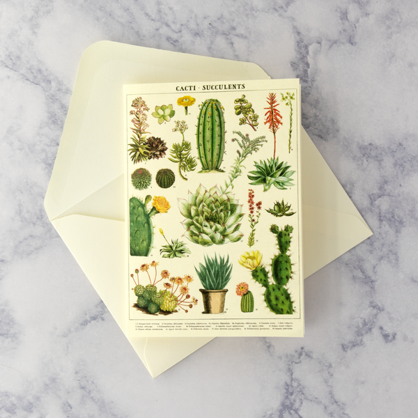 Cacti Succulents Boxed Notes (Set of 8)