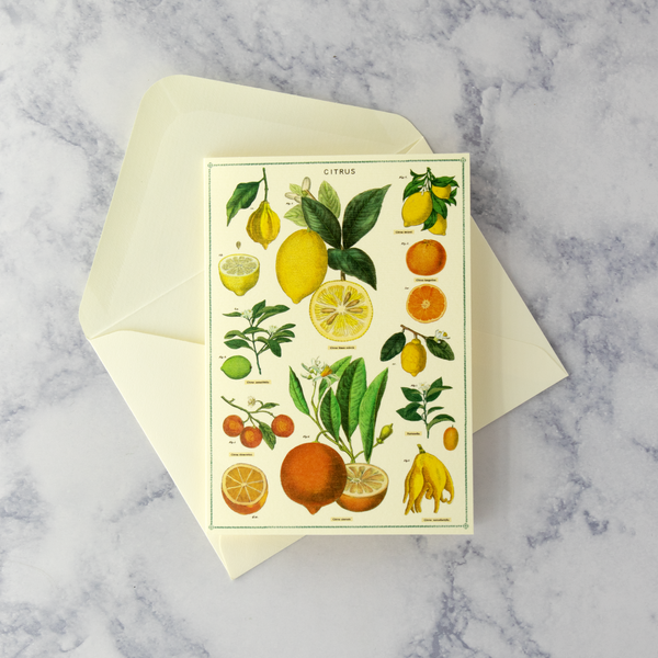 Jardin Citrus Boxed Notes (Set of 8)