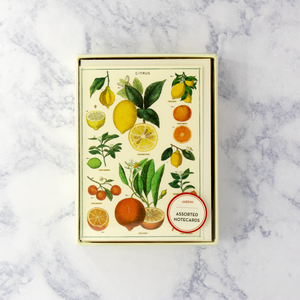 Jardin Citrus Boxed Notes (Set of 8)