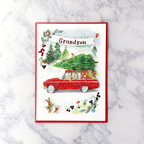 Critters In Car Christmas Card (Grandson)