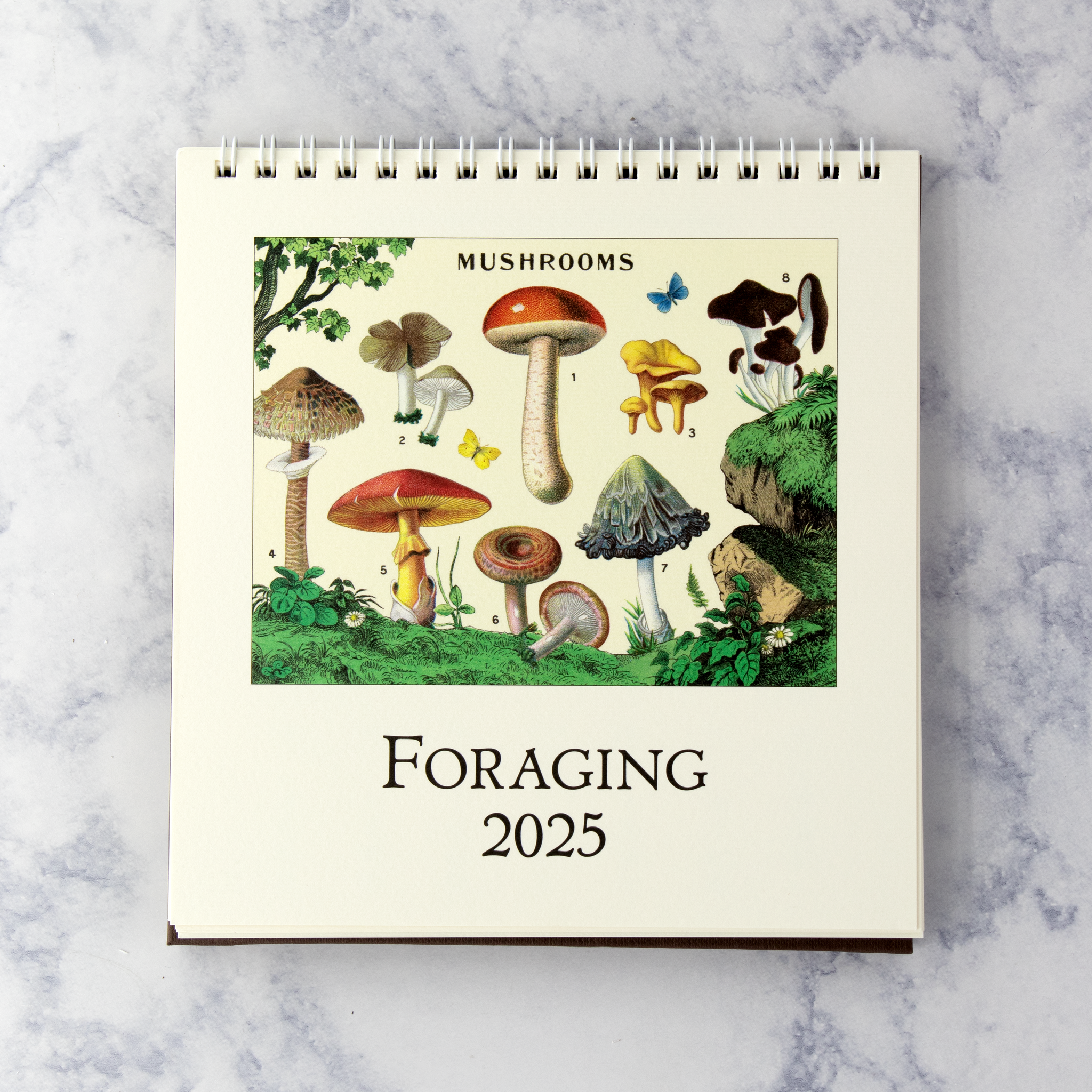 Foraging Mushroom 2025 Desk Calendar