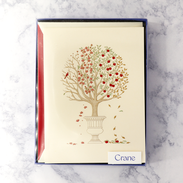 Hand Engraved Four Season Apple Tree Christmas Boxed Notes (Set of 10)