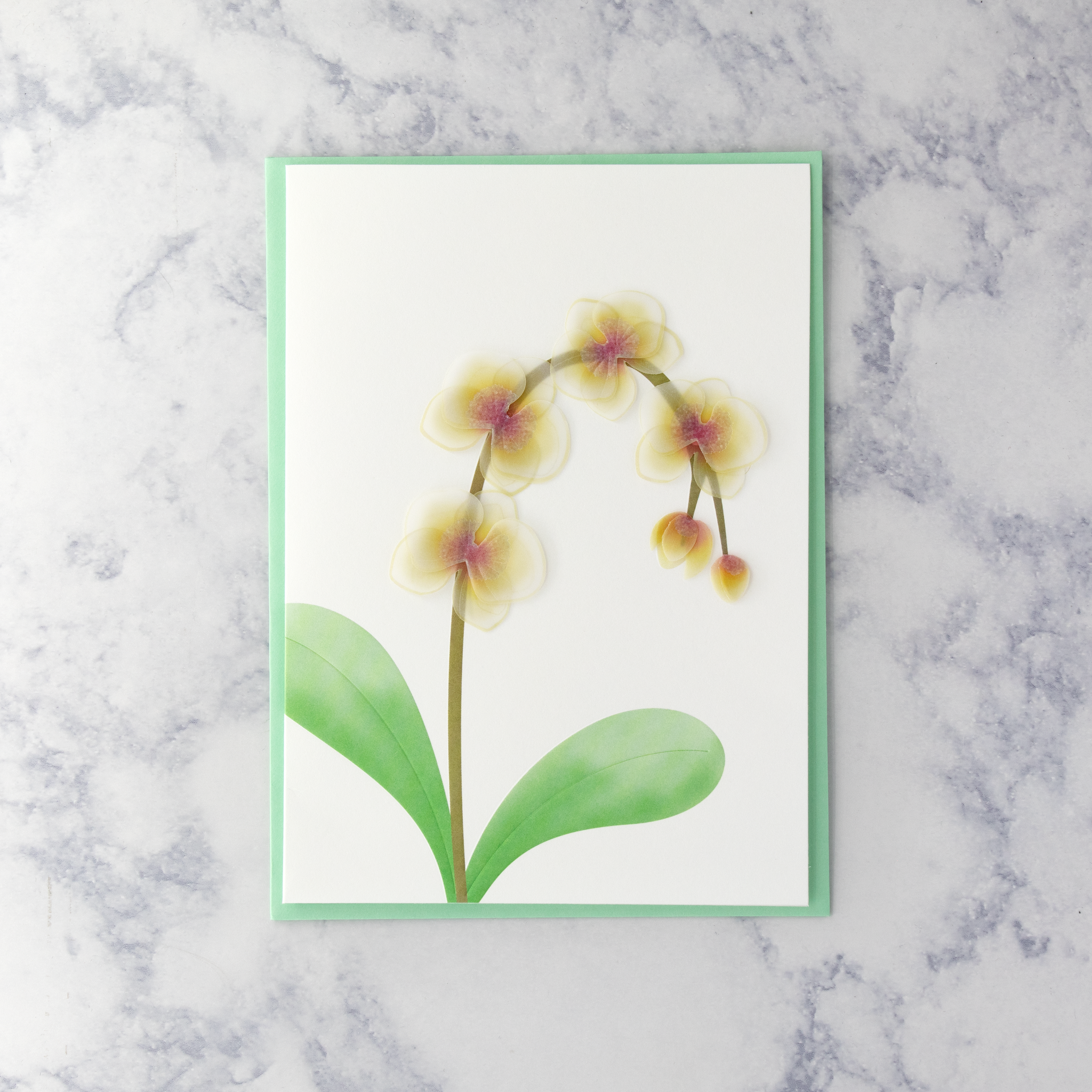 Handmade Vellum Orchid Sympathy Card