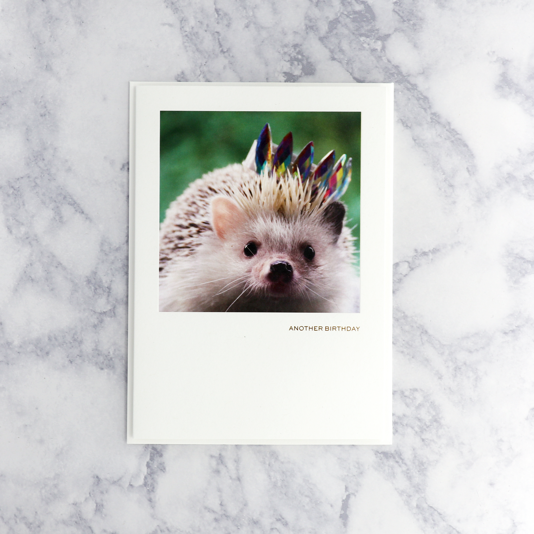 Hedgehog With Crown Birthday Card