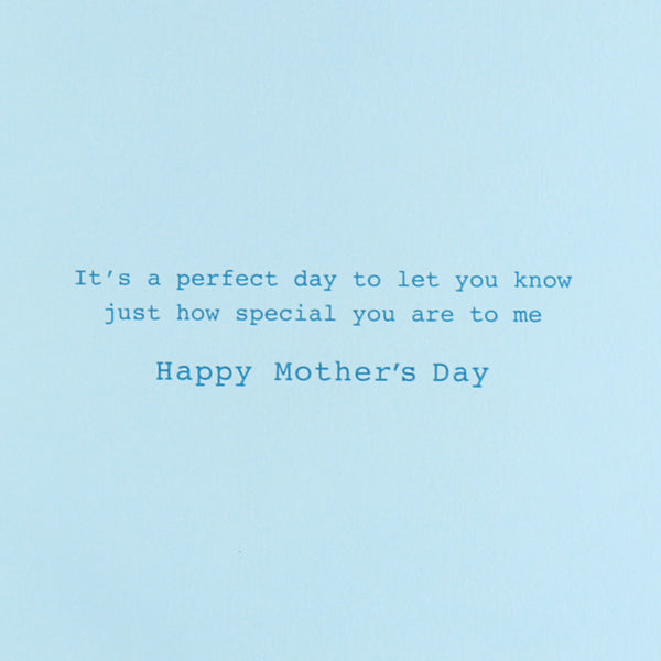 Flowers In Blue Vase Mother's Day Card