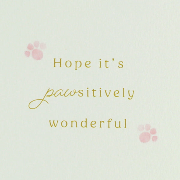 Dogs In Outfits Mother's Day Card