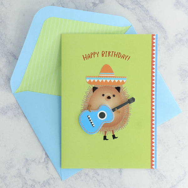 Guitar Hedgehog Birthday Card