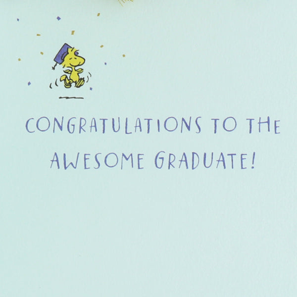 Peanuts Gang Graduation Card