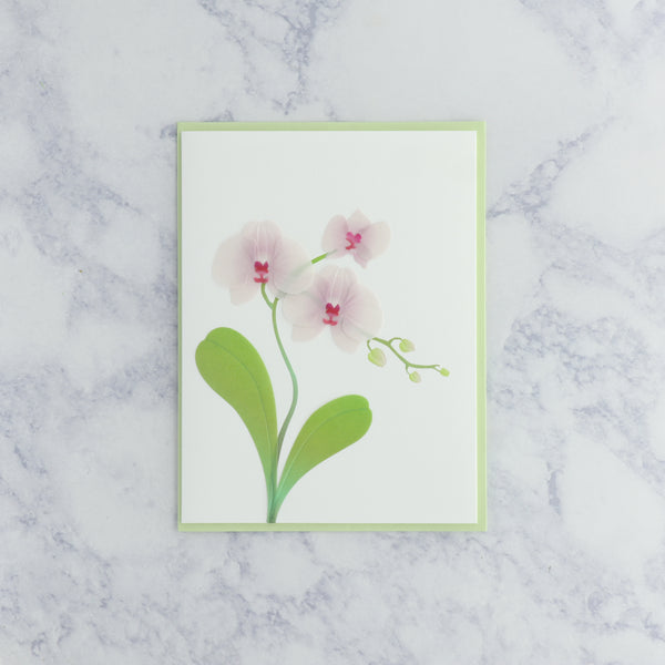 Vellum Pink Orchid Blank Card