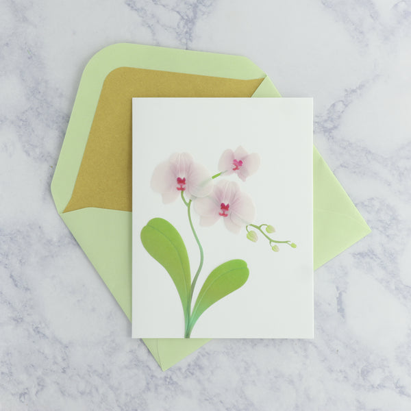 Vellum Pink Orchid Blank Card