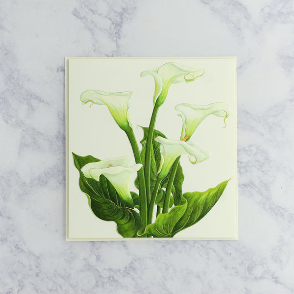 Calla Lily Flower Sympathy Card