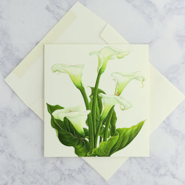 Calla Lily Flower Sympathy Card