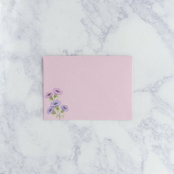 Illustrated Hummingbird Boxed Notes (Set of 12)