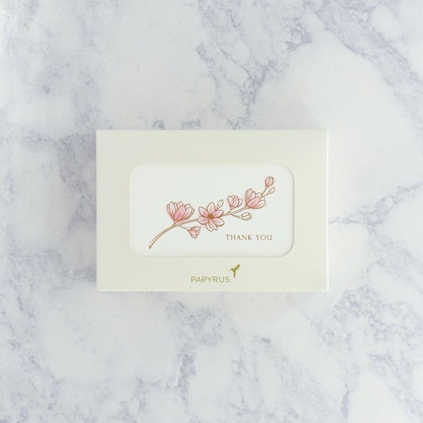 Magnolia Thank You Boxed Notes (Set of 16)