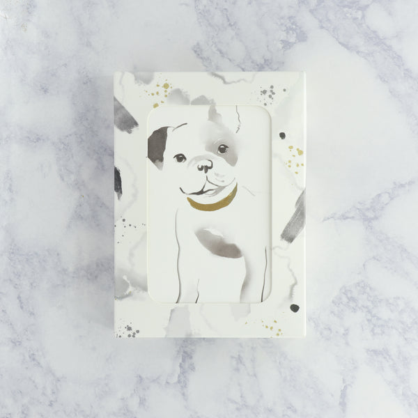 Illustrated Frenchie Dog Boxed Notes (Set of 12)