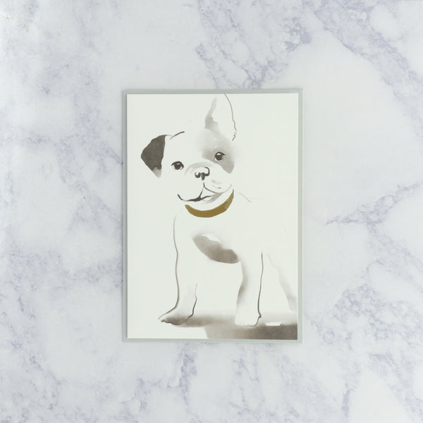 Illustrated Frenchie Dog Boxed Notes (Set of 12)