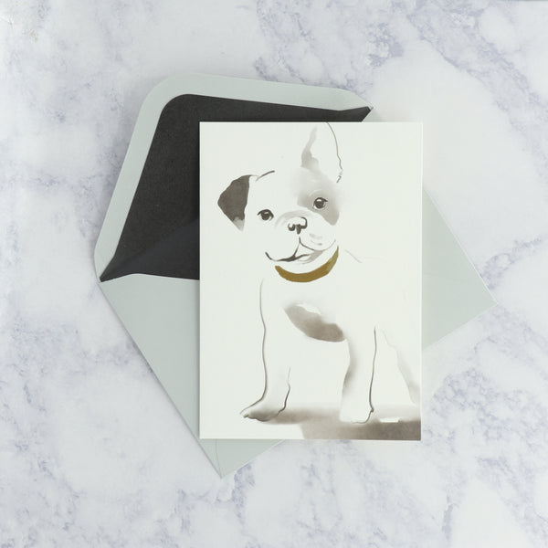 Illustrated Frenchie Dog Boxed Notes (Set of 12)