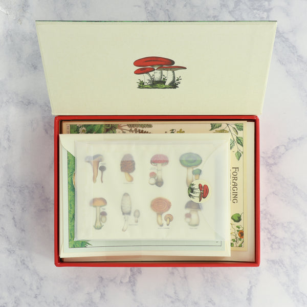 Mushrooms Boxed Notes Stationery Set (Set of 16)