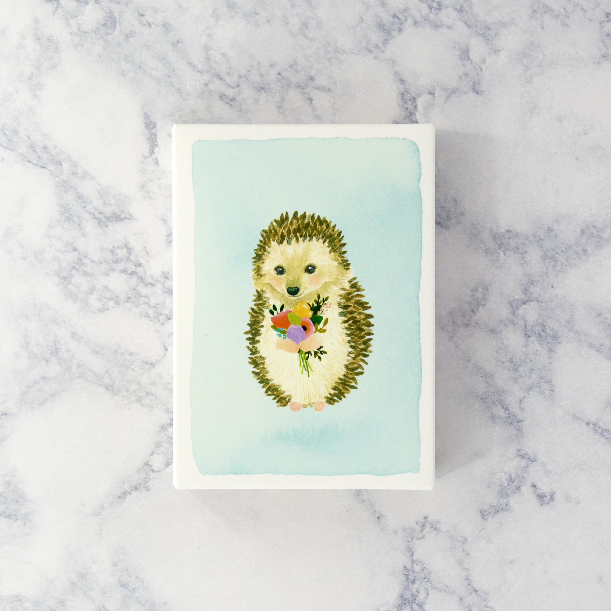 Illustrated Hedgehog Boxed Notes (Set of 14)