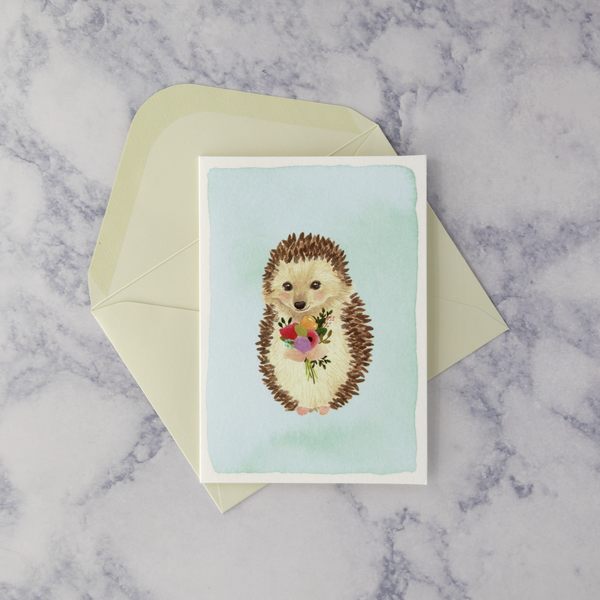 Illustrated Hedgehog Boxed Notes (Set of 14)