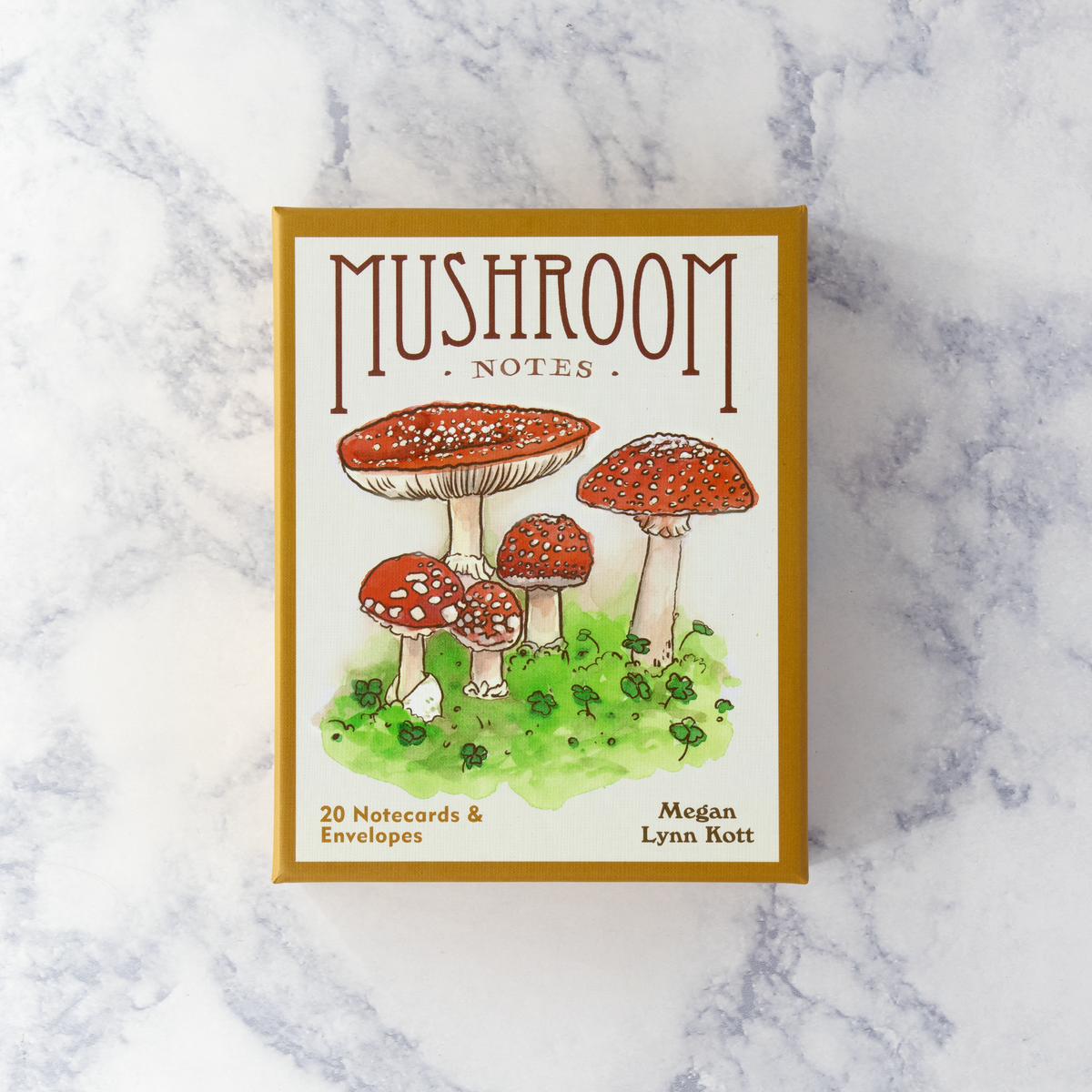Illustrated Mushroom Boxed Notes (Set of 20) – Bonsai Paper Co.