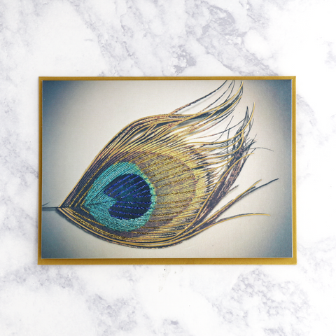 Peacock Feather Blank Card