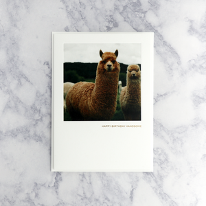 Photo Llama Birthday Card