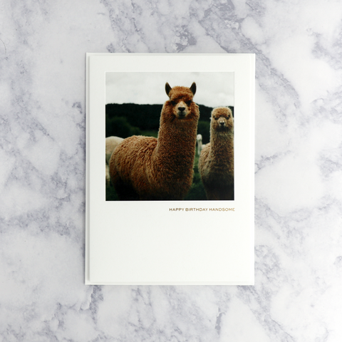 Photo Llama Birthday Card
