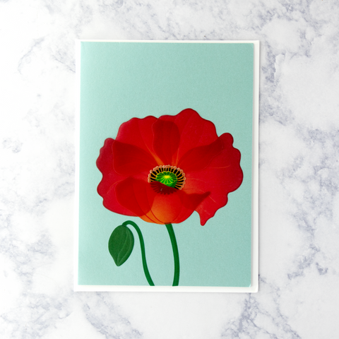 Poppy On Blue Blank Card