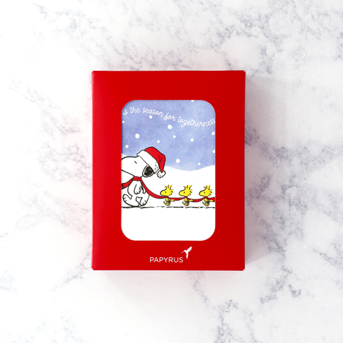 Snoopy Woodstock Holiday Boxed Cards (Set of 20)