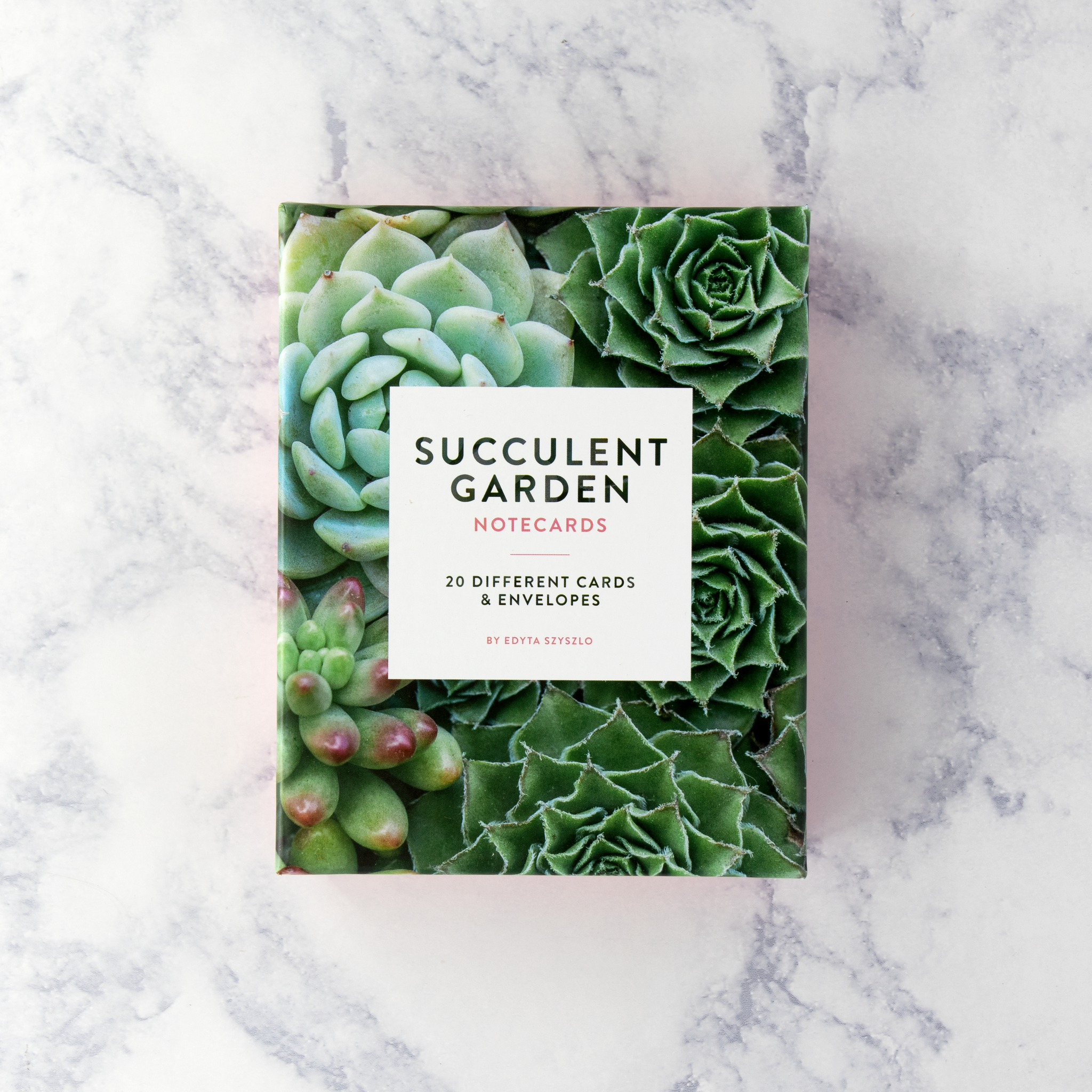 Succulent Garden Boxed Notes (Set of 20)