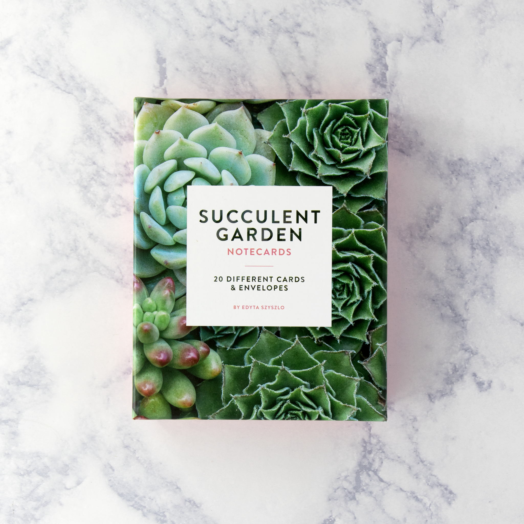 succulent notecards Succulent Garden Boxed Notes (Set of 20) – Bonsai Paper Co