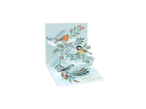 Pop-Up Winter Birds Mini Gift Enclosure Christmas Card