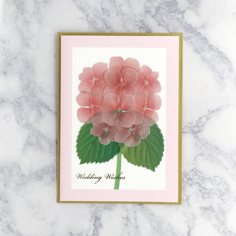 Vellum Hydrangea Wedding Card