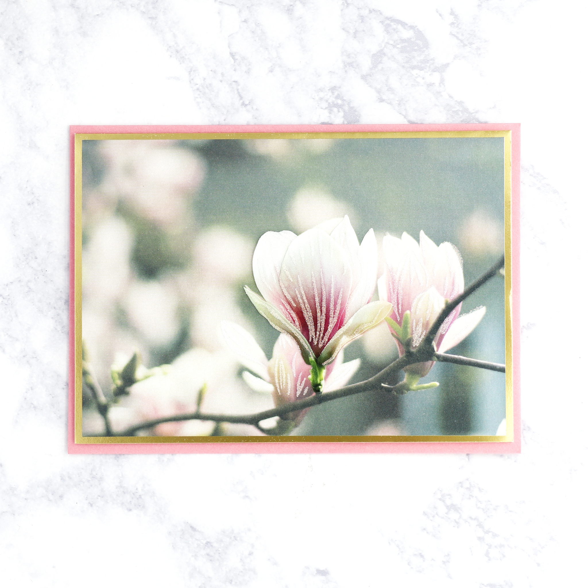 Vellum Magnolia Branch Blank Card