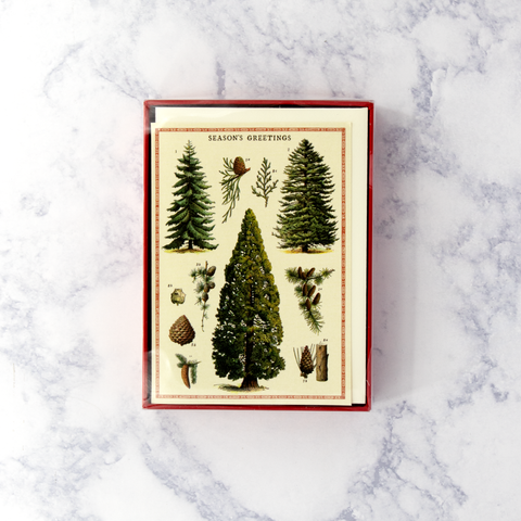 Vintage Christmas Trees Christmas Boxed Notes (Set of 10)