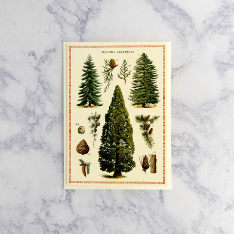 Vintage Christmas Trees Christmas Card