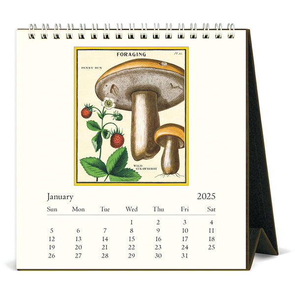 Foraging Mushroom 2025 Desk Calendar