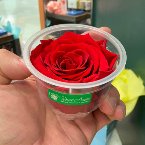 Ecuadorian Preserved Single Red Rose
