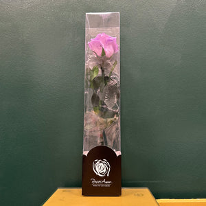 Ecuadorian Preserved Single Stem Purple Rose