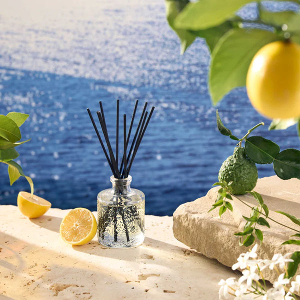 Mediterranean Lemon Reed Oil Diffuser