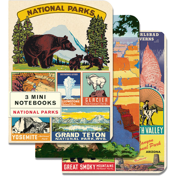 Vintage National Parks Mini Notebook (Set of 3)