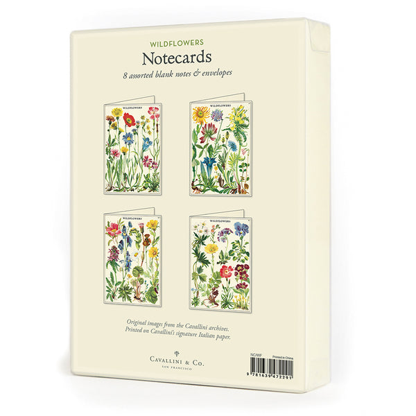 Vintage Panna Wildflowers Boxed Notes (Set of 8)
