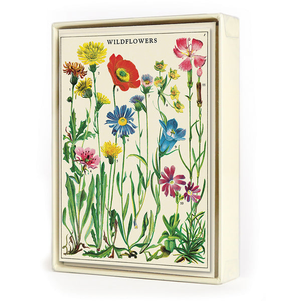 Vintage Panna Wildflowers Boxed Notes (Set of 8)